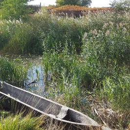 Piast City Archeological Preserve