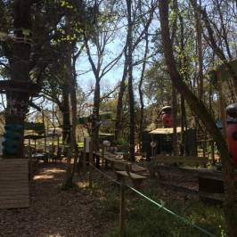 Pitchoun Forest