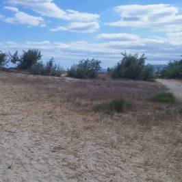 Plage de l'Arinella