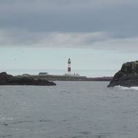 Misty Sea Angling/Boat Trips