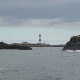 Misty Sea Angling/Boat Trips