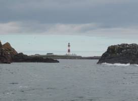 Misty Sea Angling/Boat Trips