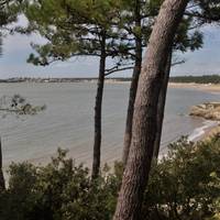 Le Parc de l'Estuaire