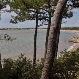 Le Parc de l'Estuaire