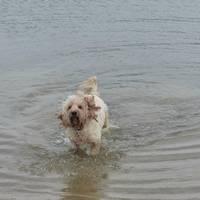 Cleethorpes Country Park