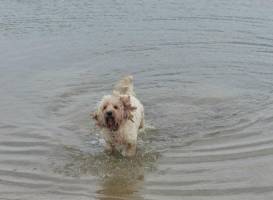 Cleethorpes Country Park