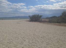 Plage de Vignale