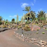 Jardin Botanico