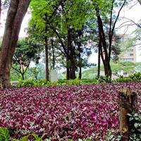 Parque de la Bailarina