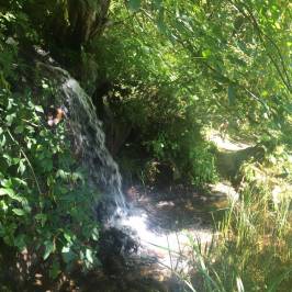 Jardin Botanique Alpin Flore-Alpe