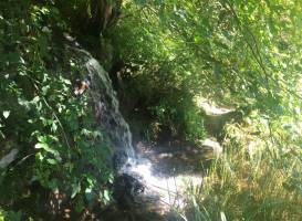 Jardin Botanique Alpin Flore-Alpe