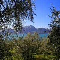 Paolo Bonomelli Boutique Olive Farm