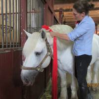 Haras National de Cluny
