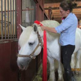 Haras National de Cluny