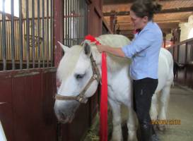 Haras National de Cluny