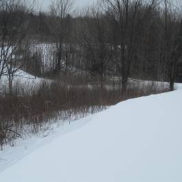 Hyland Lake Park Reserve