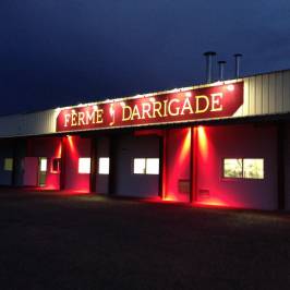 Les Delices De Darrigade