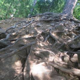 Duchesnay Falls Trails