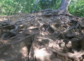 Duchesnay Falls Trails