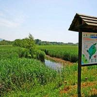 Lago di Porta