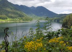Schwarzensee