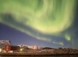 Lofoten Lights