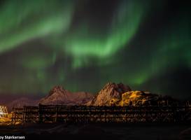 Northern Lights Hunt Lofoten™