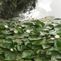 Museo Naturalistico del Parco di Colfiorito