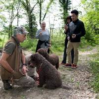 Truffle Hunting in Tuscany