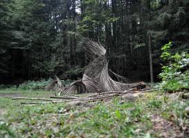 Il Respiro Degli Alberi
