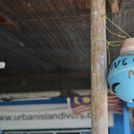 Urbanisland Divers
