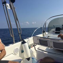 Blue Adventure