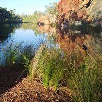 Ngurrangga Tours - Day Tours