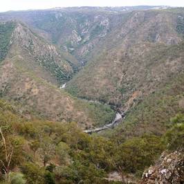 Wollomombi Falls