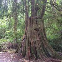 Meadowdale Beach Park