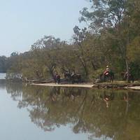 Noosa Horse Riding