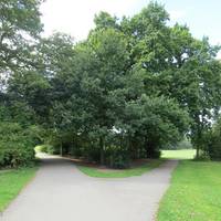 Allesley Park