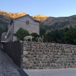 Gabela Street