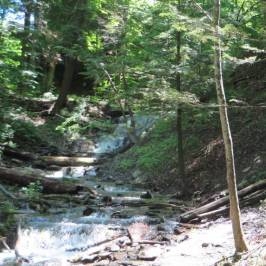 Weavers Creek Falls