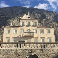 Tripkovic Palace