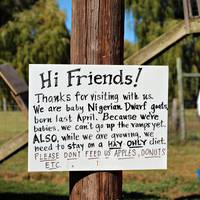 Hick's Apple Orchard