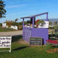 Harbor View Nursery & Lavender Farm