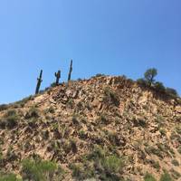 Barlett Lake Recreation Area
