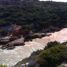 Praia do Barranco