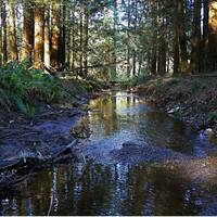 Campbell Valley Regional Park