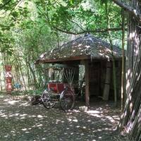 Le Jardin Les Bambous du Mandarin