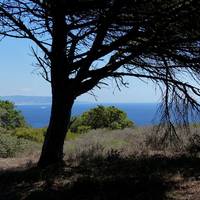 Cabo Trafalgar