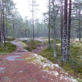 Grössjön Nature Reserve