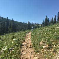 Beehive Basin Trail