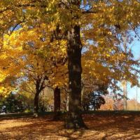 Humboldt Park